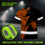 Hi Vis Polo Shirt  Reflective Tapes Orange Neon Turtle Hawaii Hi-Vis Polo Shirt