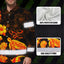 Hi Vis Hawaiian Long Sleeve Shirt Reflective Tape Gradient Orange Neon Turtle Hi-Vis Long Sleeve Shirt